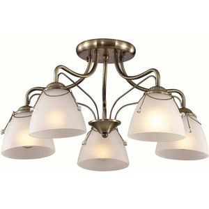 

Потолочная люстра Lumion 3146/5C, 3146/5C