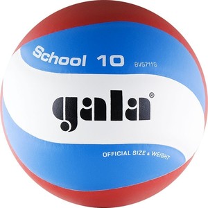 фото Мяч волейбольный gala school 10 (bv5711s р. 5)