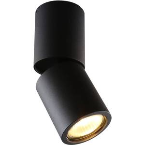 

Спот Divinare 1800/04 PL-1, 1800/04 PL-1