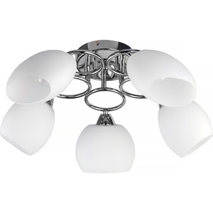 

Потолочная люстра Toplight TL2650X-05CH, TL2650X-05CH