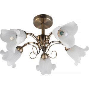 

Потолочная люстра Toplight TL3490X-05AB, TL3490X-05AB