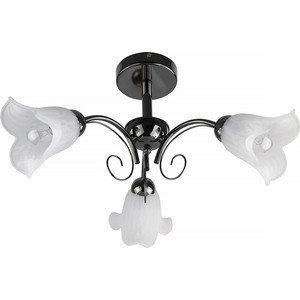 

Потолочная люстра Toplight TL3490X-03BC, TL3490X-03BC
