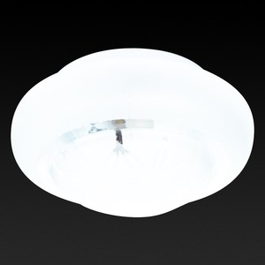 Потолочный светильник Toplight TL9571Y-01WH