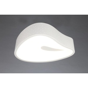 Потолочный светодиодный светильник Omnilux OML-45507-25 - фото 3