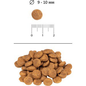 Сухой корм Blitz Petfood Superior Nutrition Adult Dog Mini & Toy Breeds up to10kg с курицей для взрослых собак миниатюрных и мелких пород 2кг - фото 2