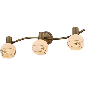 

Спот Toplight TL3790Y-03AB, TL3790Y-03AB