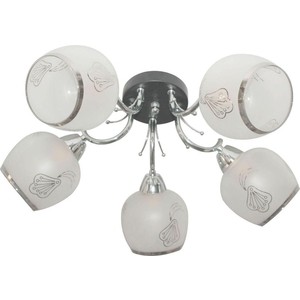 

Потолочная люстра Toplight TL7410X-05BC, TL7410X-05BC