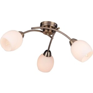 

Потолочная люстра Toplight TL3780X-03AB, TL3780X-03AB