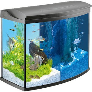 

Аквариумный комплекс Tetra AquaArt LED Evolution Line с LED освещением день / ночь 130л, AquaArt LED Evolution Line с LED освещением день / ночь 130л