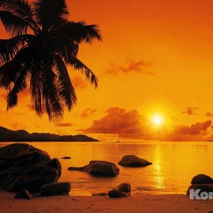 

Фотообои Komar Sunset (3,68х2,54 м) (8-316), Sunset (3,68х2,54 м) (8-316)