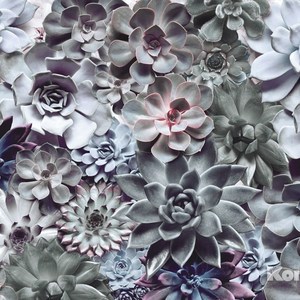 

Фотообои Komar Shades (3,68х2,54 м) (8-962), Shades (3,68х2,54 м) (8-962)