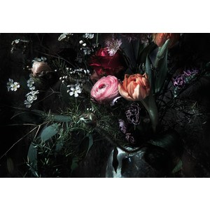 

Фотообои Komar Still Life (3,68х2,54 м) (8-999), Still Life (3,68х2,54 м) (8-999)
