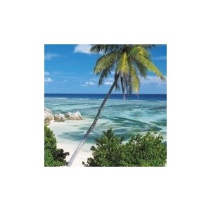

Фотообои Komar Palmtree (0,92х2,2 м) (2-1096), Palmtree (0,92х2,2 м) (2-1096)