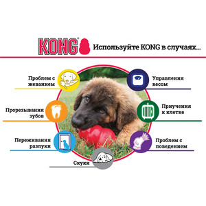 Игрушка KONG Extreme Large большая 10х6см очень прочная для собак - фото 2