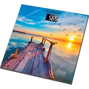 

Весы напольные Endever Aurora 552, Aurora 552
