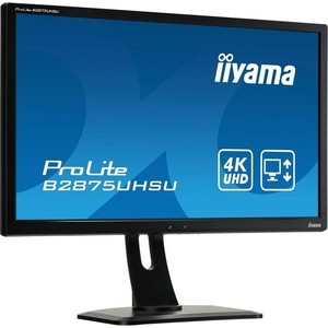 фото Монитор iiyama b2875uhsu-b1