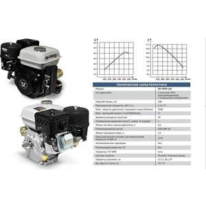 

Двигатель бензиновый ZONGSHEN ZS170FE с генераторной катушкой, ZS170FE с генераторной катушкой