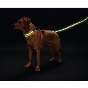 фото Поводок hunter led manoa glow 30/120 желтый светящийся для собак