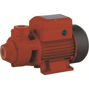 

Поверхностный насос Acquaer RCP70-1, RCP70-1