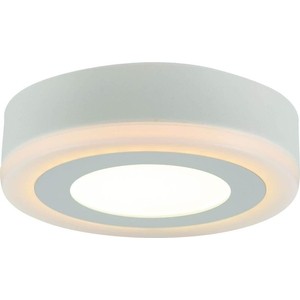 Потолочный светодиодный светильник Arte Lamp A7806PL-2WH - фото 2