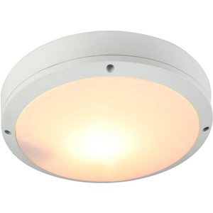 

Уличный потолочный светильник Artelamp A8154PF-2WH, A8154PF-2WH