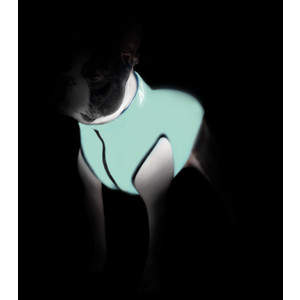фото Курточка collar airyvest lumi двухсторонняя светящаяся салатово-голубая размер размер s 30 для собак (2166)