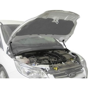 фото Упоры капота rival для ford focus iii (2011-2015 / 2014-2019), 2 шт., a.st.1801.1