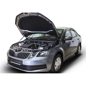 фото Упоры капота rival для skoda octavia iii a7 (2013-2017 / 2017-н.в.), 2 шт., a.st.5105.1