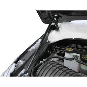 Газовые упоры капота АвтоУПОР для Chevrolet TrailBlazer II (2012-2016), 2 шт., UCHTRA012 для Chevrolet TrailBlazer II (2012-2016), 2 шт., UCHTRA012 - фото 3