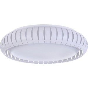 

Потолочный светодиодный светильник Freya FR6159-CL-24W-W, FR6159-CL-24W-W