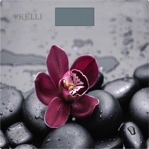

Весы напольные Kelli KL-1521, KL-1521