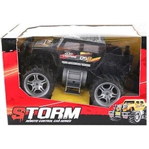 

Радиоуправляемый внедорожник Shenzhen Toys Storm, арт. FL9988 - М44307, Storm, арт. FL9988 - М44307