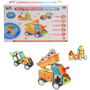 

Магнитный конструктор Abtoys Магический магнит, 75 деталей (PT-00843), Магический магнит, 75 деталей (PT-00843)