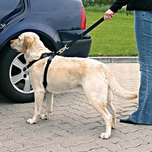 фото Ремень безопасности trixie автомобильный для собак 30-70см (1290)