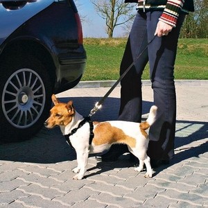 фото Ремень безопасности trixie автомобильный для собак 70-90см (1292)