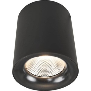 Потолочный светодиодный светильник Arte Lamp A5118PL-1BK - фото 1