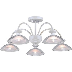 

Потолочная люстра Arti Lampadari Noventa E 1.1.5 W, Noventa E 1.1.5 W