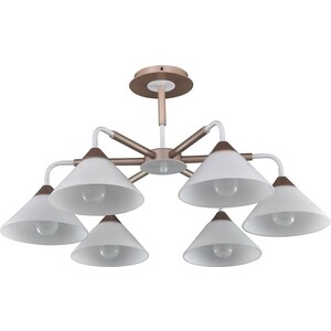 

Потолочная люстра Arti Lampadari Ribera E 1.1.6 CW, Ribera E 1.1.6 CW