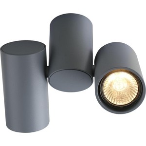 

Потолочный светильник Divinare 1354/05 PL-2, 1354/05 PL-2